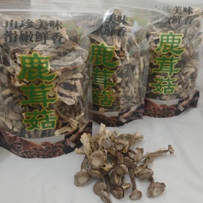 云南特产源头厂家鹿茸菇菌菇干货批发散装袋装食用菌批发特色菌菇图4