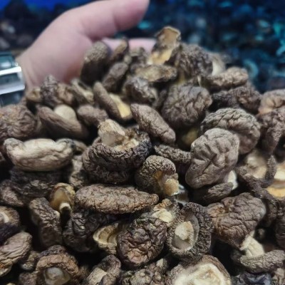 福建古田金钱菇干货批发干香菇净重250g香菇商用煲汤食材菌菇干货图4