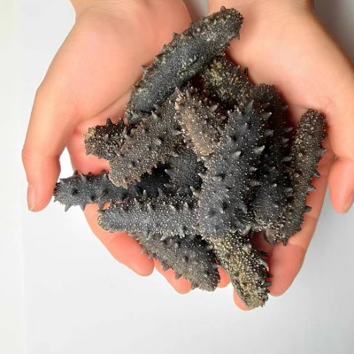 大连淡干海参500g深海海参干货批发海参散装辽刺参干货可礼盒装图4