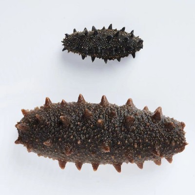 大连纯淡干海参泡发率15倍鲜活海参礼盒海参干货一件起批辽刺参海图2