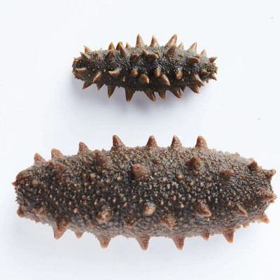 半干顶火海参大连辽参刺参500g拉缸盐海参批发盐渍海参一件代发图3