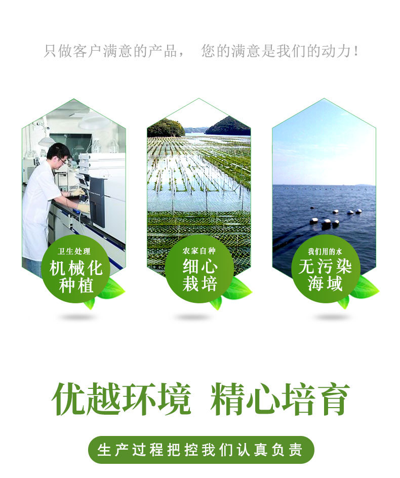 青海苔_04.jpg