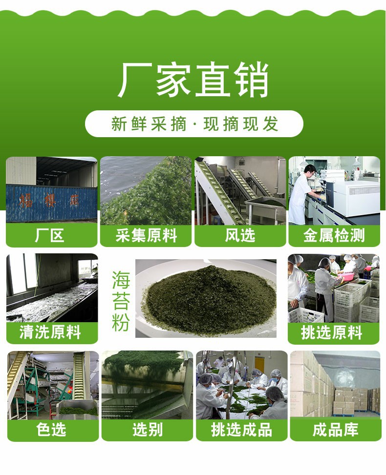 海苔粉长图4.jpg
