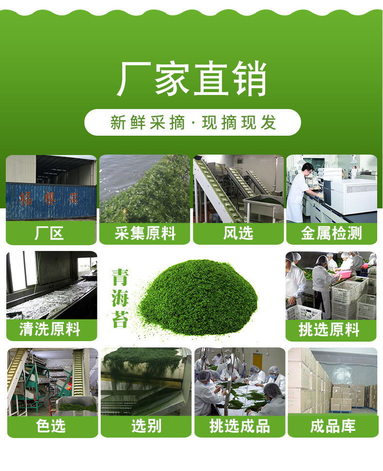 青海苔_06.jpg