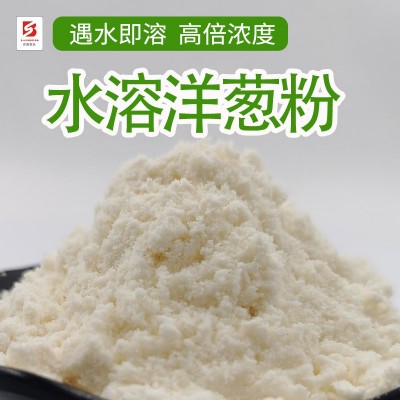 水溶洋葱粉1kg起高倍浓度遇水即溶洋葱粉调味料香辛料厂家批发图3