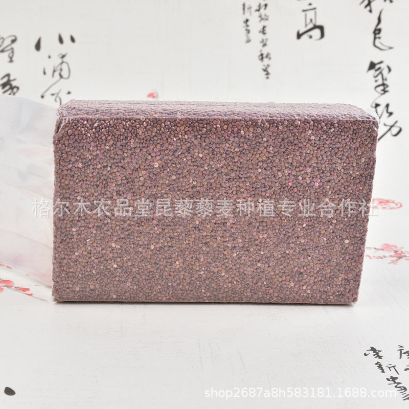 DSC_4585_副本.JPG