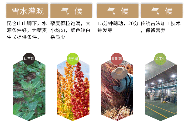 详情页_05