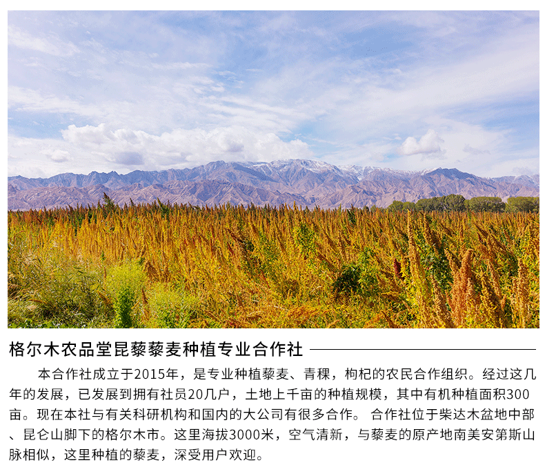详情页_10