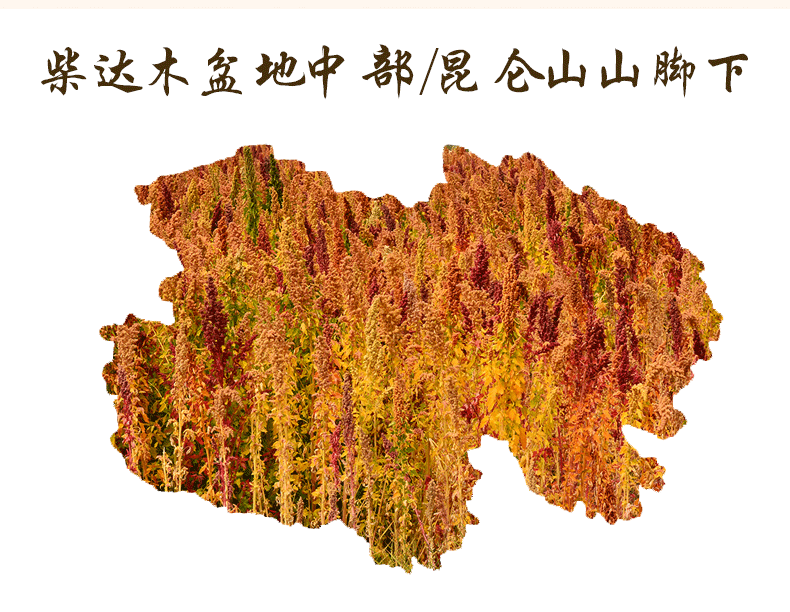 详情页_04