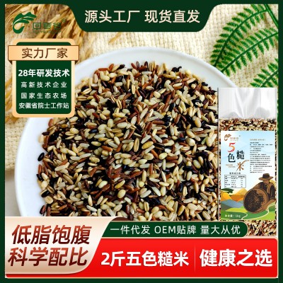 健身五色糙米新米2斤五谷杂粮米低脂低糖糙米 孕妇主食粗 粮组合米