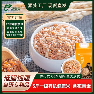 有机胚芽米红软米一级红大米五谷杂粮粥米低脂长粒新米糙米 饭10斤