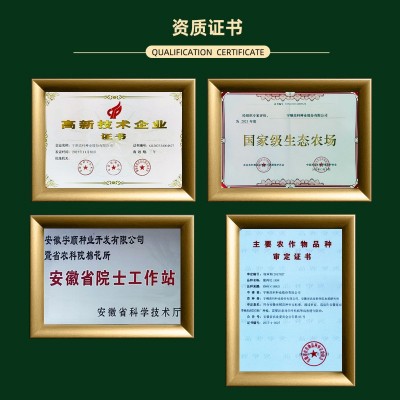 有机胚芽米红软米一级红大米五谷杂粮粥米低脂长粒新米糙 米饭批发图2