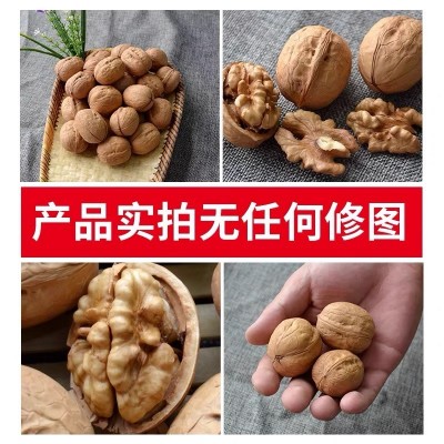 新疆185纸皮核桃 阿克苏特产纸薄皮壳手捏核桃干果核桃仁坚果批发图3