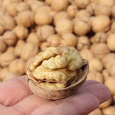 新疆185纸皮核桃 阿克苏特产纸薄皮壳手捏核桃干果核桃仁坚果批发图2