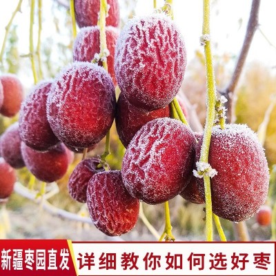 2024新枣新疆大枣若羌灰枣特级原生态未清洗散装农家吊杆枣子图3