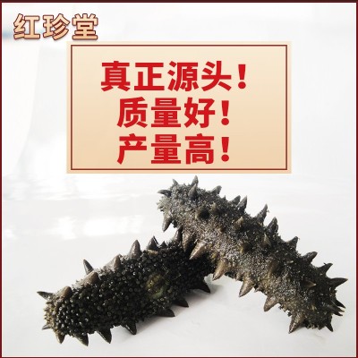 大连海参批发特产拉缸盐海参半干海参工厂定制海产品辽参图2