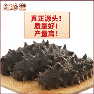 大连海参批发特产拉缸盐海参半干海参工厂定制海产品辽参