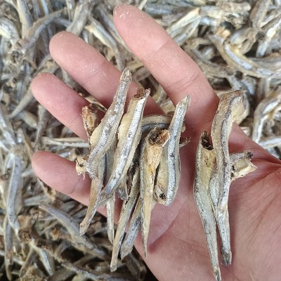 散装水产干货去头小鱼干 公干鱼 麻辣熟食小鱼仔原材料供应图2