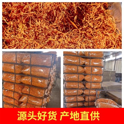 云南虫草花蛹虫草金虫草虫草花批发产地直发一件代发图4