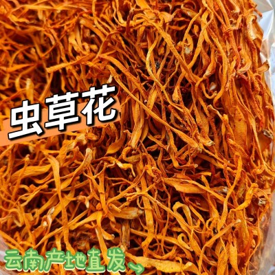 云南虫草花蛹虫草金虫草虫草花批发产地直发一件代发图3