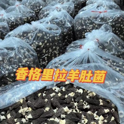云南林下仿野生羊肚菌干货头茬好货羊肚菌优选2-6厘米半斤包邮图3