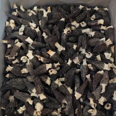 云南羊肚菌 头茬干货羊肚菌特产优选5-7cm图5