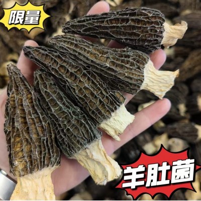云南羊肚菌 头茬干货羊肚菌特产优选5-7cm