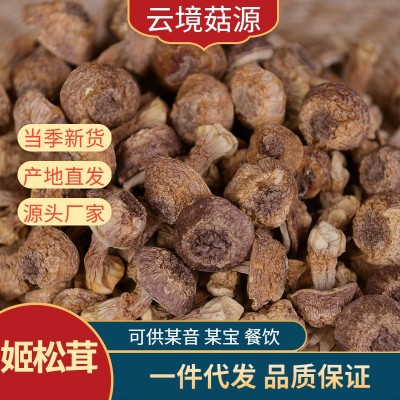 云南特产本地姬松茸干货本色姬松茸产地直发巴西菇松茸菇蘑菇