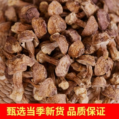 云南特产本地姬松茸干货本色姬松茸产地直发巴西菇松茸菇蘑菇图2