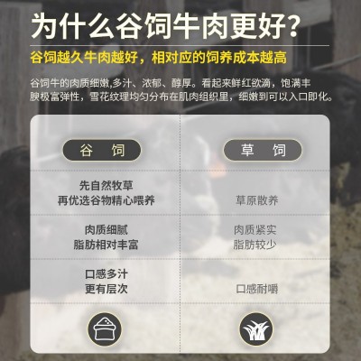 澳洲安格斯牛肉生鲜食材牛扒批发130g家庭装原切谷饲儿童菲力牛排图3