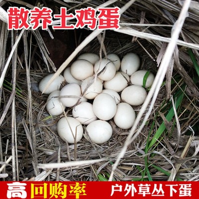农家母鸡林中散养谷物土鸡蛋虫草蛋新鲜鸡蛋笨鸡蛋批发价