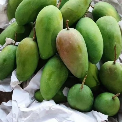 云南大青芒新鲜芒果整箱批发当季应季水果甜图4