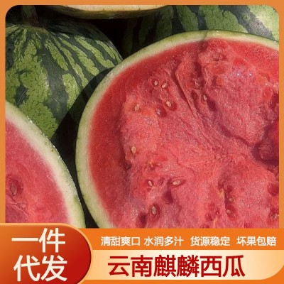 云南麒麟大西瓜薄皮夏邑冰糖孕妇当季新鲜水果代发包邮