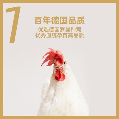 圣迪乐村山春牧场40枚好食蛋 无腥味无菌蛋无抗无菌新鲜鸡蛋顺丰图2