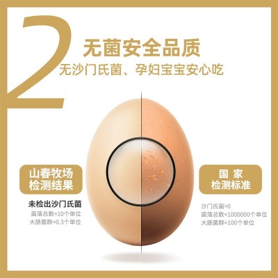 圣迪乐村山春牧场40枚好食蛋 无腥味无菌蛋无抗无菌新鲜鸡蛋顺丰图3