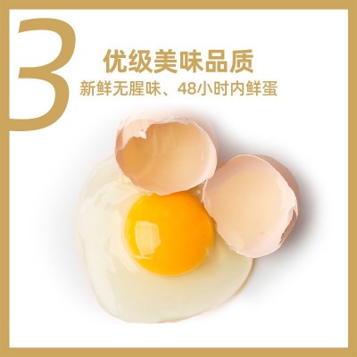 圣迪乐村山春牧场40枚好食蛋 无腥味无菌蛋无抗无菌新鲜鸡蛋顺丰图4