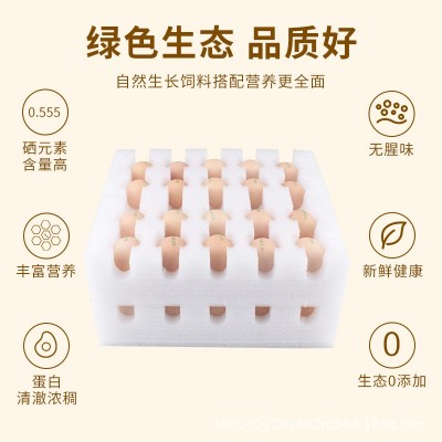 10/20/30/40枚 可生食红心新鲜鸡蛋无菌蛋富硒无抗日料顺丰图4