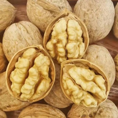 代发新疆185纸皮核桃批发500g 薄皮手剥阿克苏大核桃纸皮生核桃