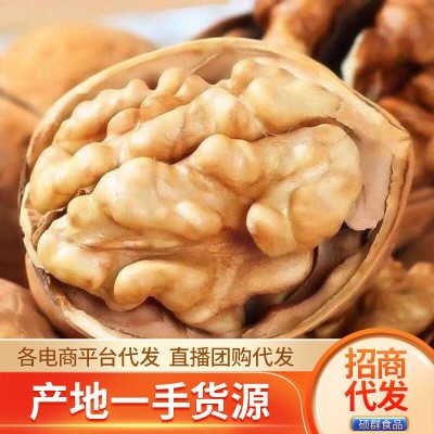 代发新疆185纸皮核桃批发500g 薄皮手剥阿克苏大核桃纸皮生核桃图2