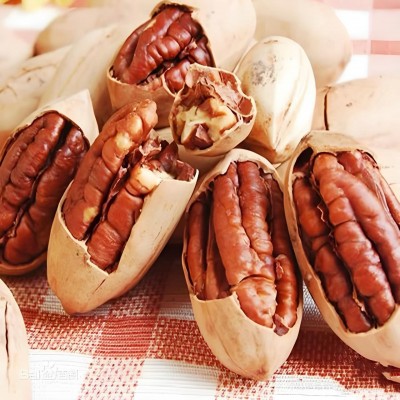 代发碧根果奶油味手剥500g 批发新货长寿果休闲零食大颗粒碧根果图4