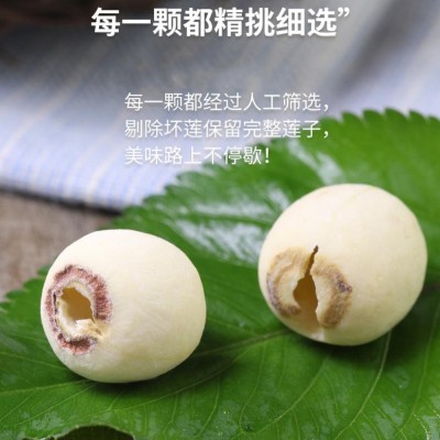 磨皮白莲 新鲜莲子干货 去芯 连子干货无芯 莲子米八宝粥原料豆浆