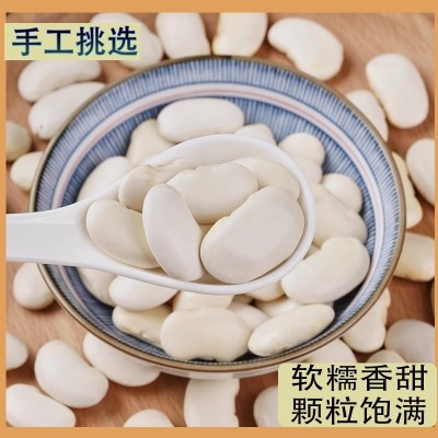 大白芸豆干货新鲜芸豆五谷杂粮白扁豆云豆子白腰豆雪豆杂粮批发图3