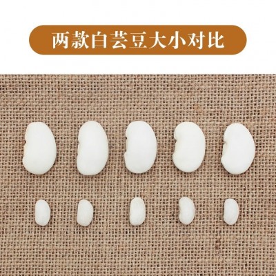 大白芸豆干货新鲜芸豆五谷杂粮白扁豆云豆子白腰豆雪豆杂粮批发图4
