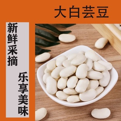 大白芸豆干货新鲜芸豆五谷杂粮白扁豆云豆子白腰豆雪豆杂粮批发