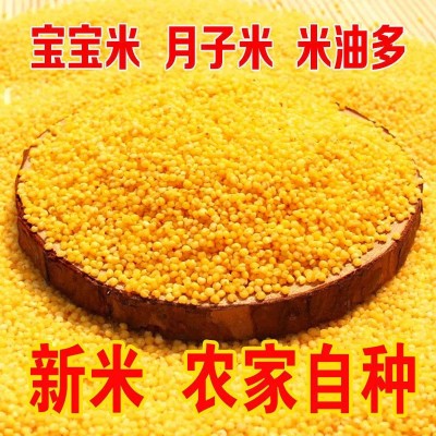 黄小米图5