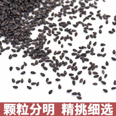 黑芝麻生新货黑芝麻打豆浆专用颗粒饱满无沙无染色图3