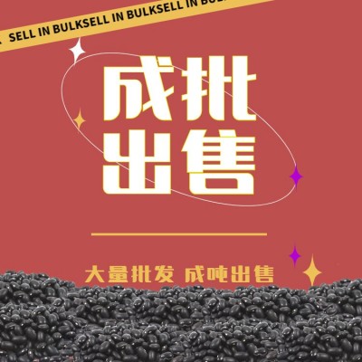 【大粒】东北青仁乌大粒 东北黑豆 大货批发 精品黑豆 优质青仁乌