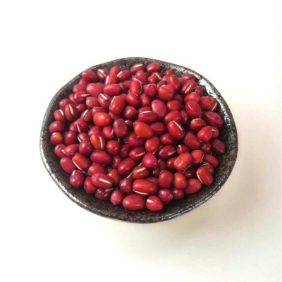 【小粒】东北小粒红豆 日本红批发 农家红小豆小粒 精品红豆图2