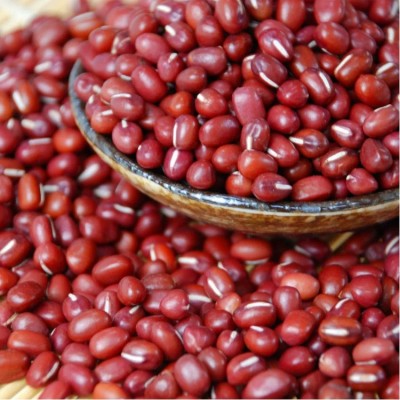 【小粒】东北小粒红豆 日本红批发 农家红小豆小粒 精品红豆图3