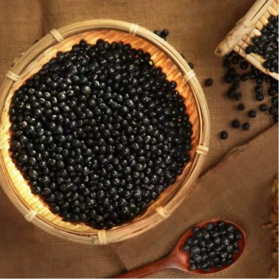 【中粒】东北青仁乌中颗粒 绿芯 大货批发 精品黑豆 优质青仁图4